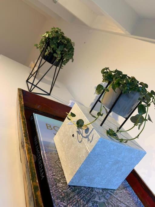 Quiet Waterloft Near Amsterdam And Schiphol Ws17 Hotel Алсмер Екстериор снимка